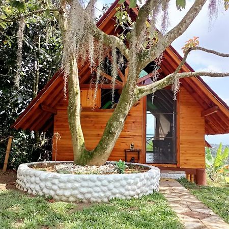 Cabanas La Miranda Filandia Kültér fotó