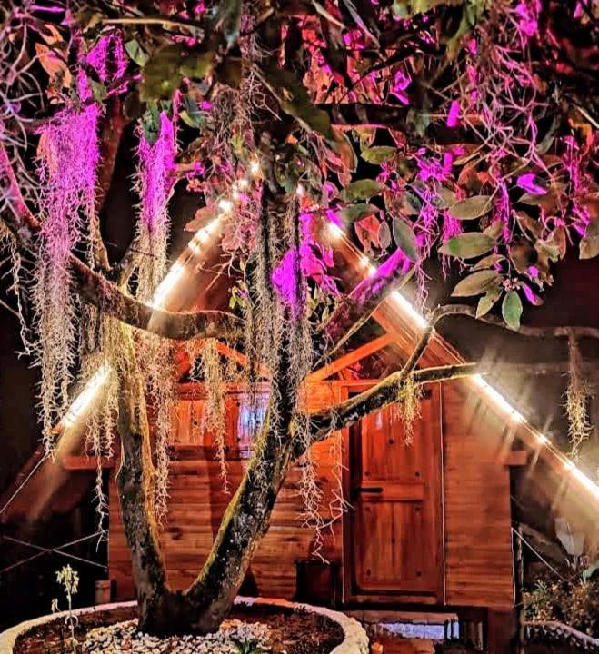 Cabanas La Miranda Filandia Kültér fotó